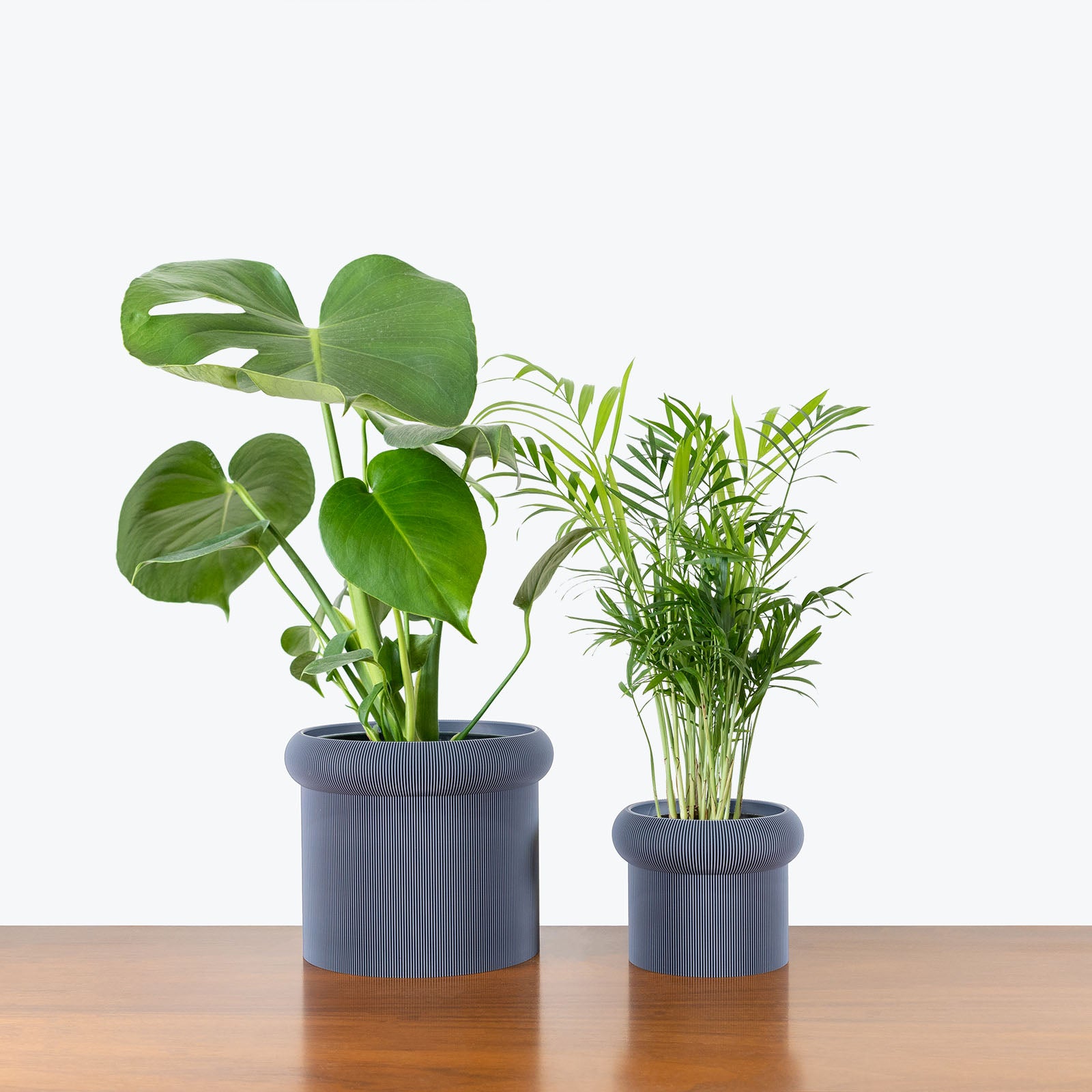 Best Selling Duo in 3D Printed Eco Friendly Mushroom Grey Planter - House Plants Delivery Toronto - JOMO Studio #planter_mushroom planter