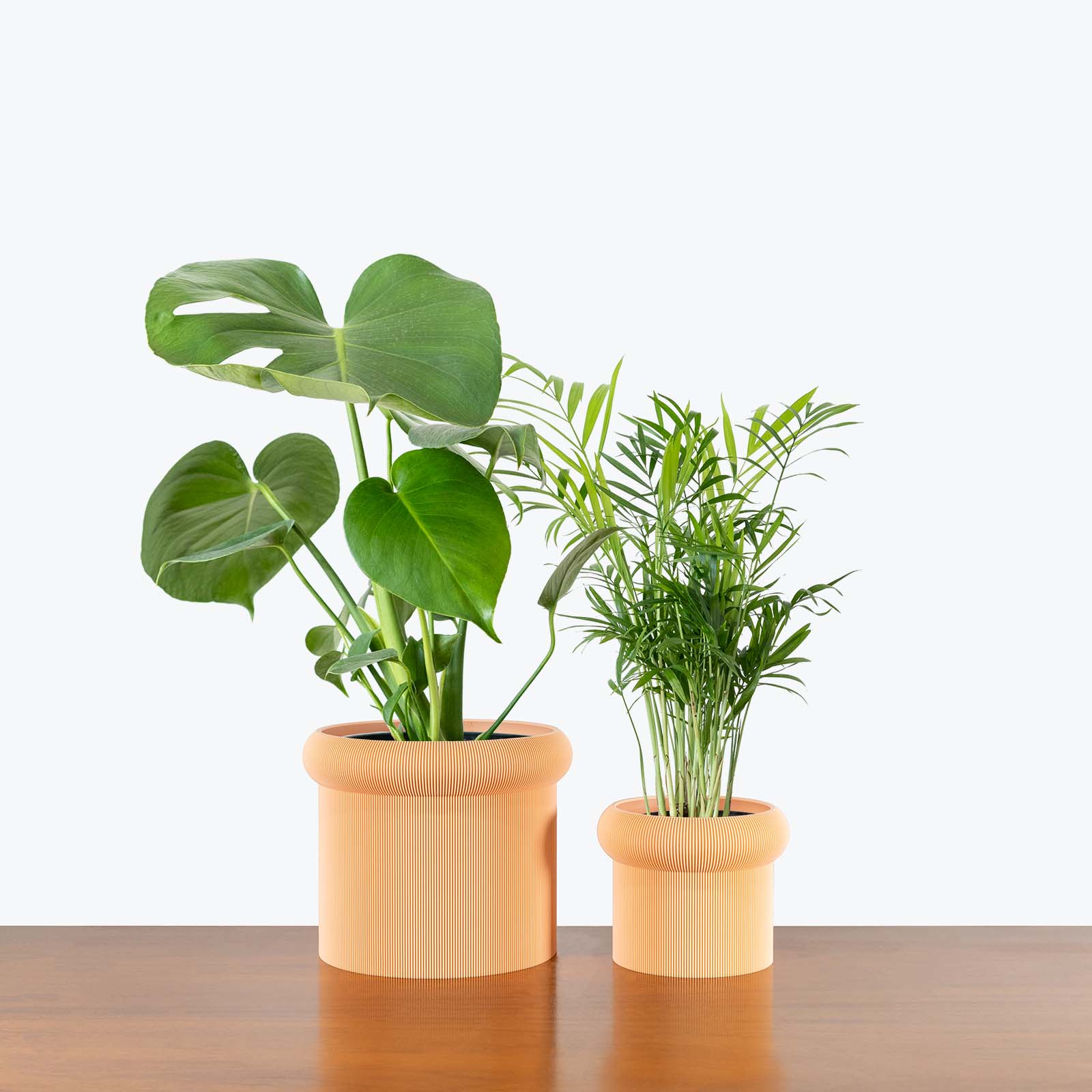 Best Selling Duo in 3D Printed Eco Friendly Mushroom Peach Planter - House Plants Delivery Toronto - JOMO Studio #planter_mushroom planter