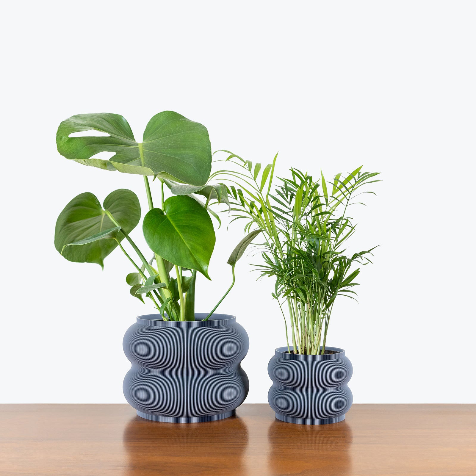 Best Selling Duo in 3D Printed Eco Friendly Peanut Grey Planter - House Plants Delivery Toronto - JOMO Studio #planter_peanut planter