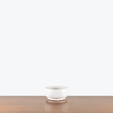 Ceramic Bonsai Planter Bowl — Medium White - Fit 5.5" Pot
