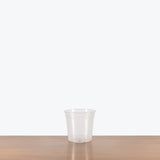 Clear Nursery Pot — 6"