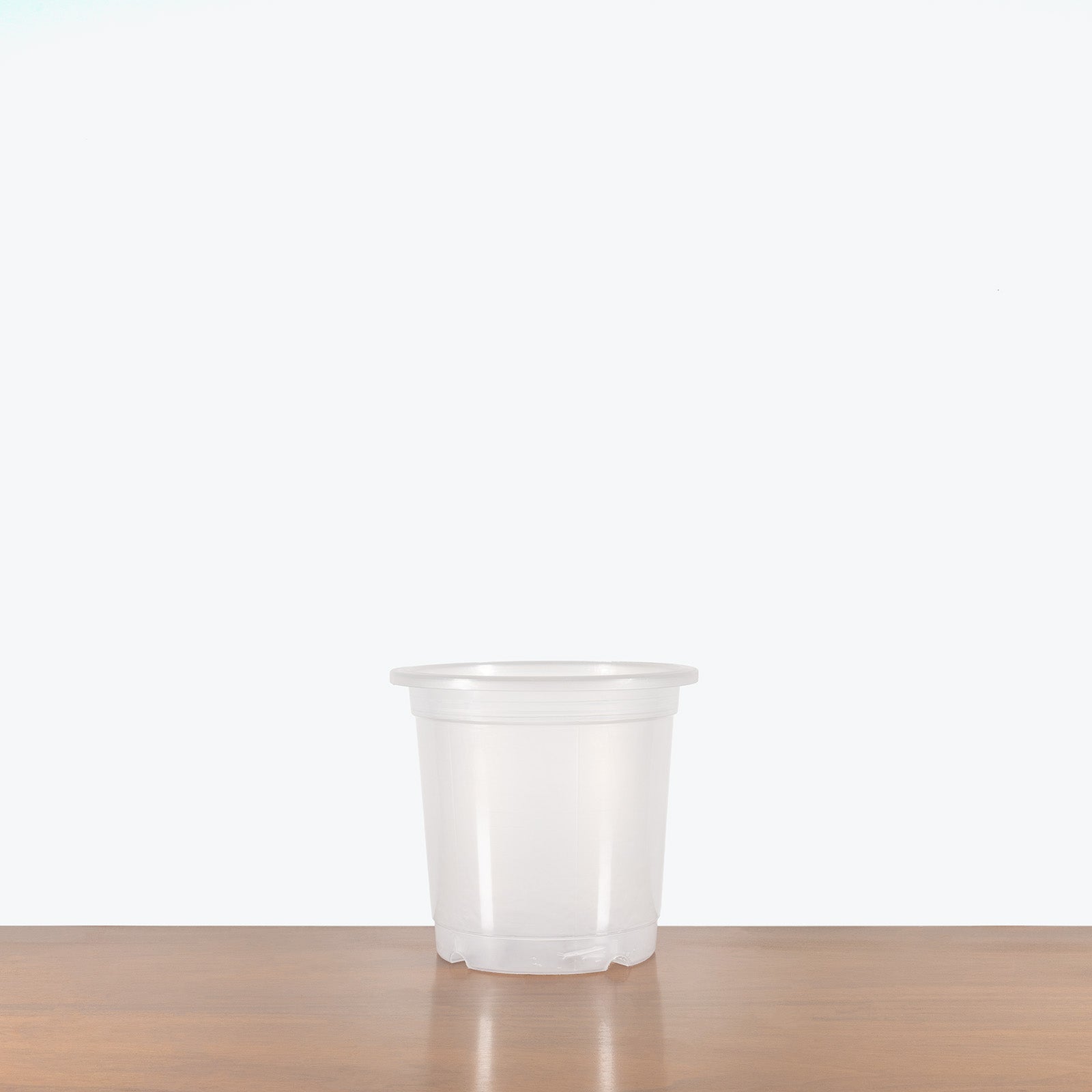 Clear Nursery Pot - House Plants Delivery Toronto - JOMO Studio