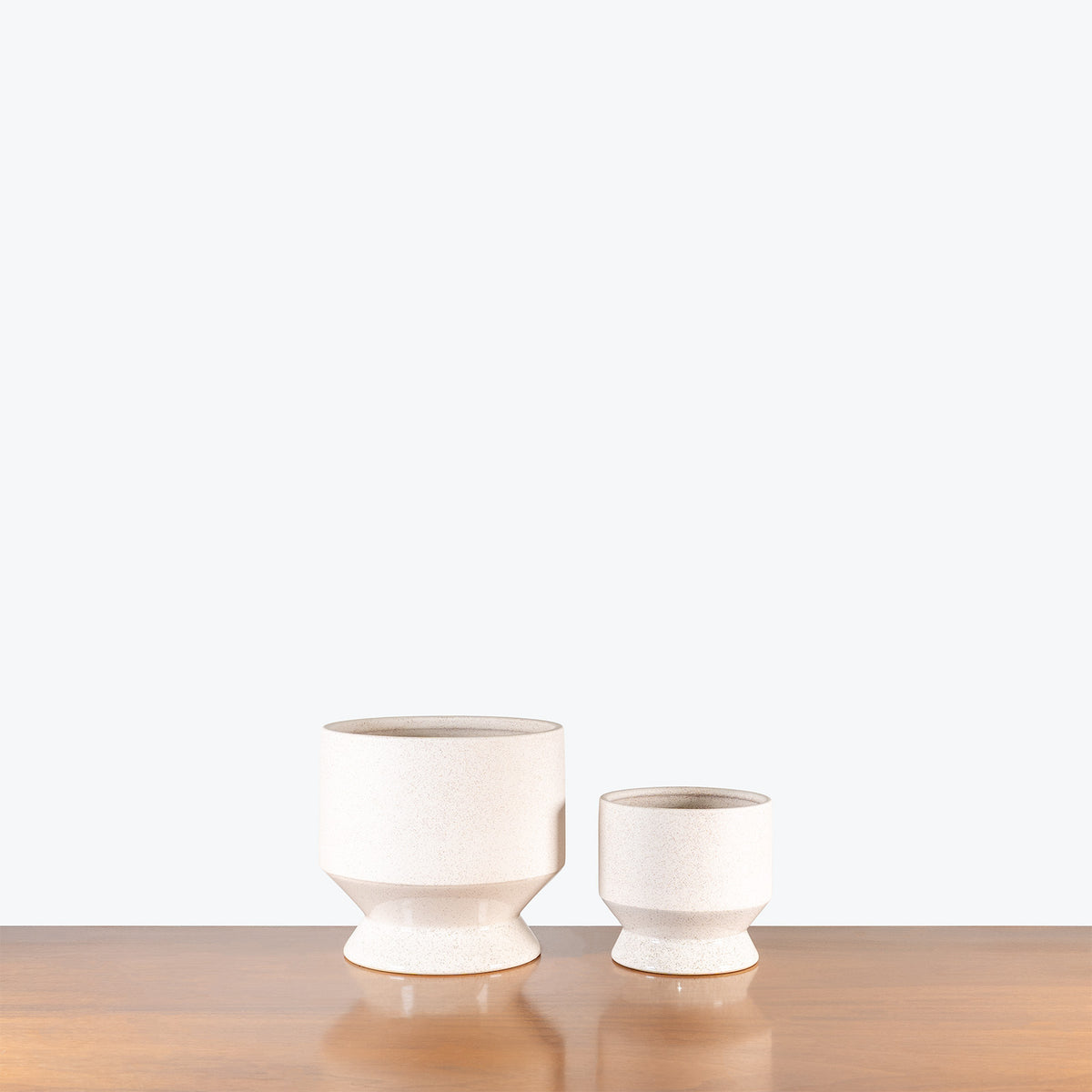 Flared Ceramic Planter - House Plants Delivery Toronto - JOMO Studio
