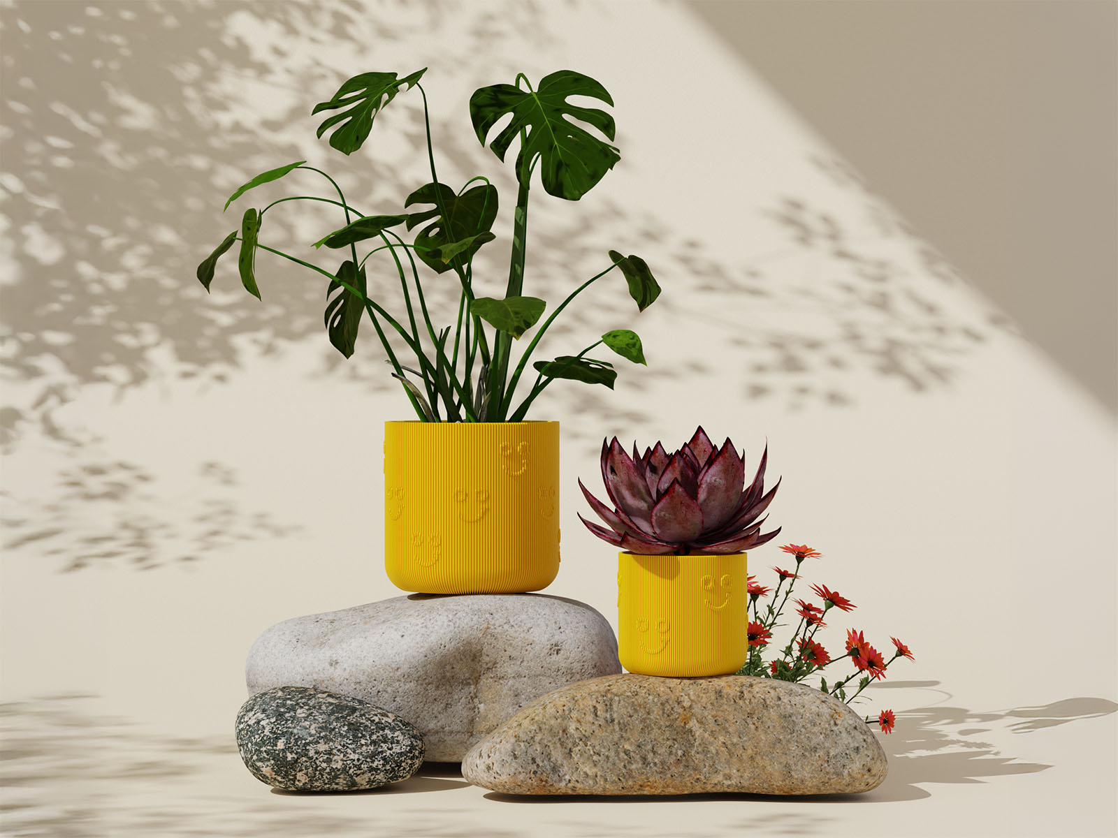 Houseplant Gift Guide | Give the Green Gift that Keeps on Giving - JOMO Studio