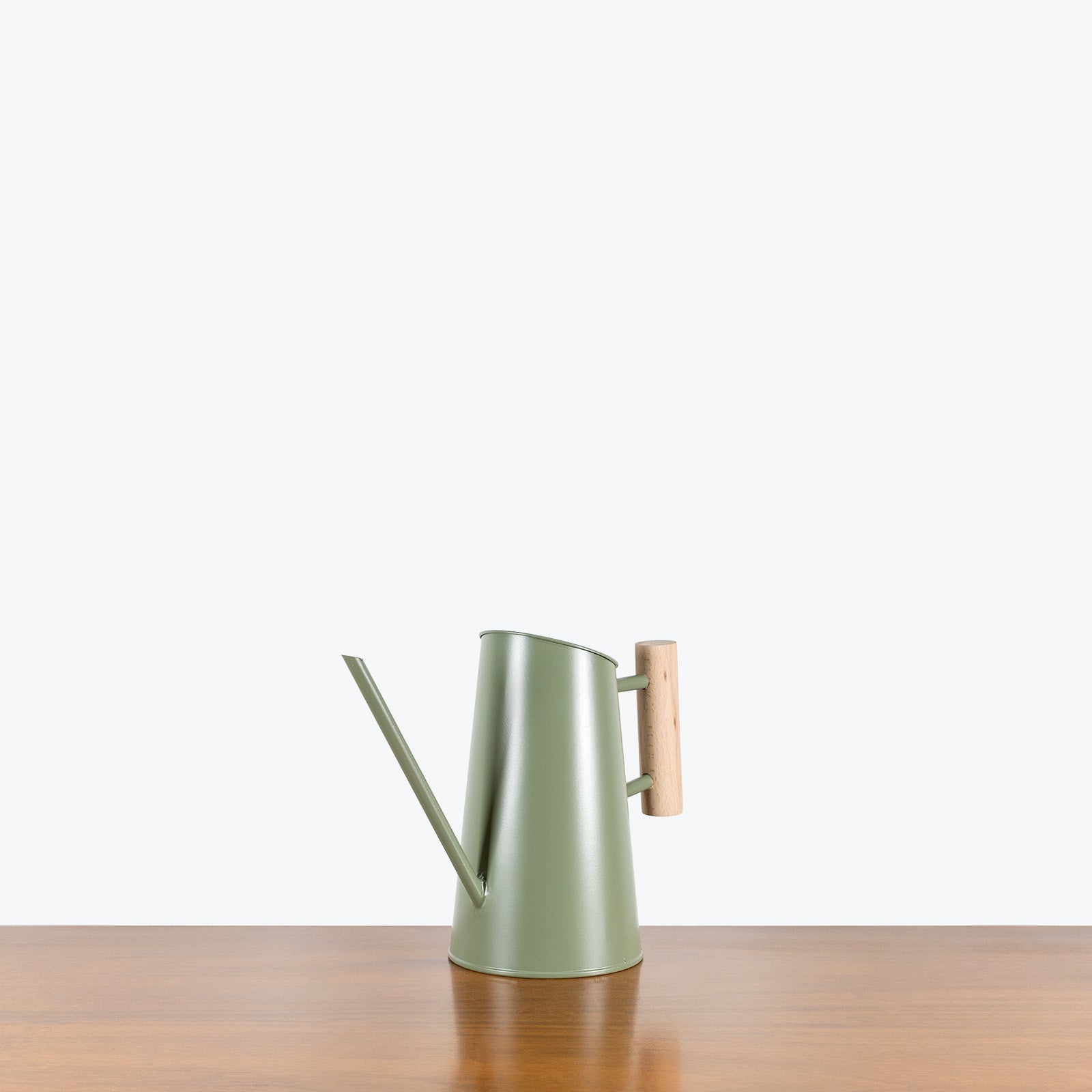Green Watering Can - House Plants Delivery Toronto - JOMO Studio