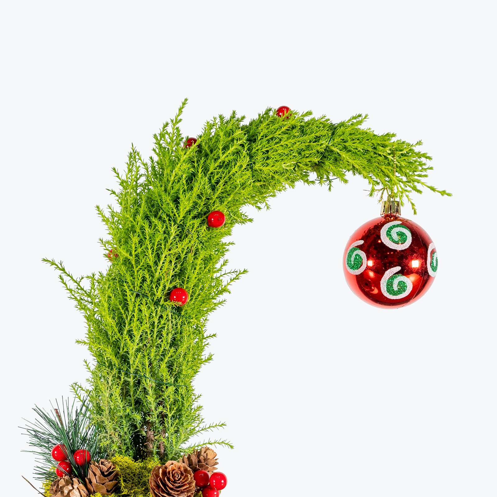 Grinchmas Tree | Care Guide and Pro Tips - Delivery from Toronto across Canada - JOMO Studio