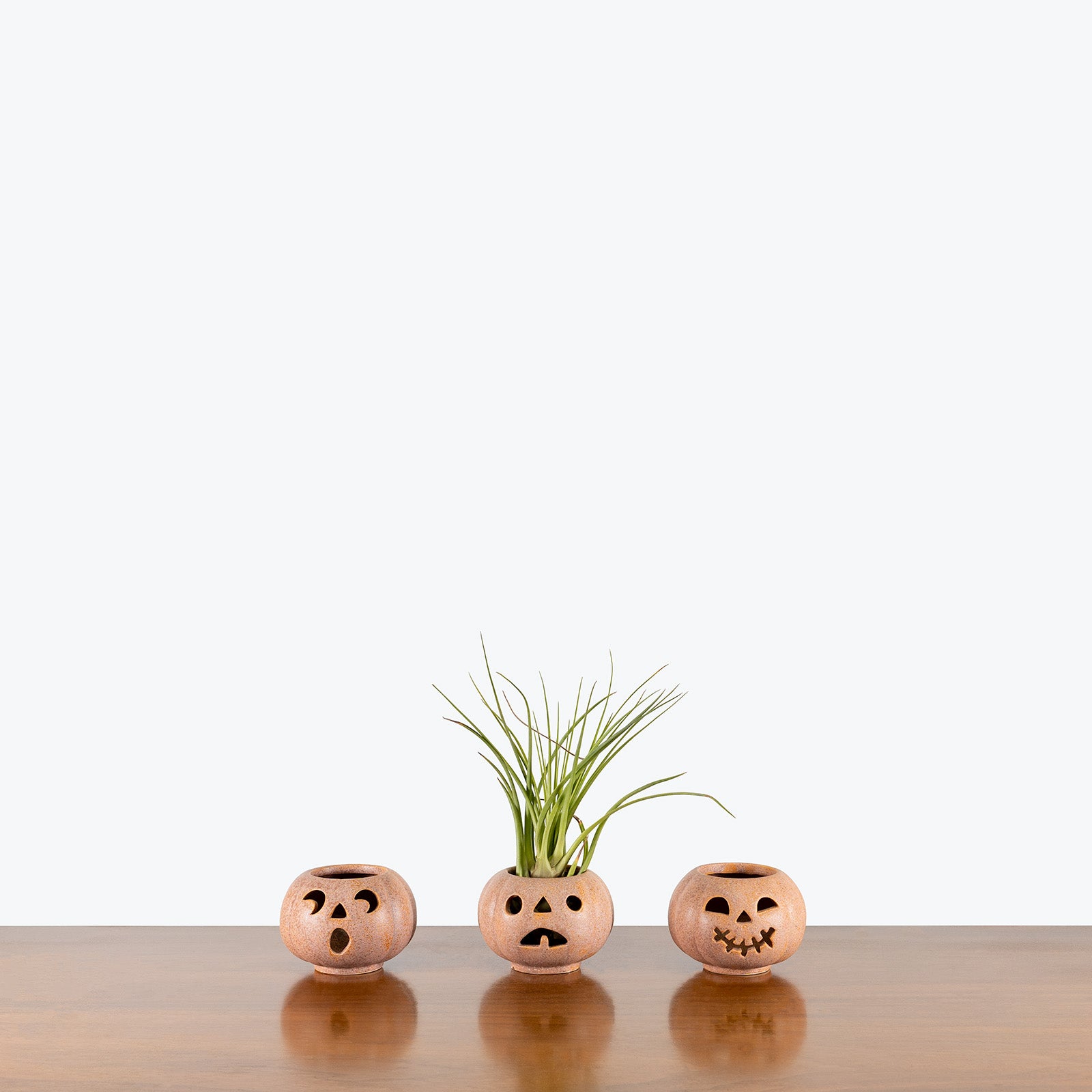 Grinning Pumpkin Planter - House Plants Delivery Toronto - JOMO Studio