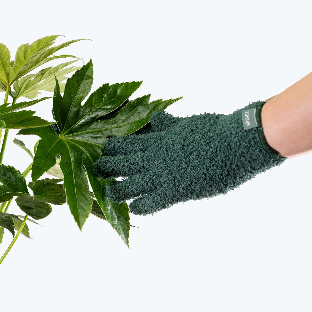 Microfiber Plant Dusting Gloves House Plants Delivery Toronto JOMO