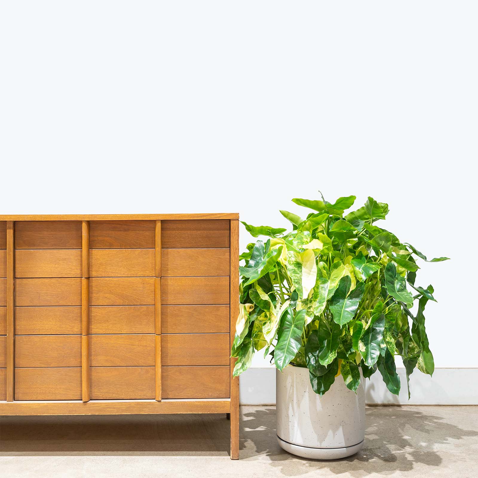 Modern Terrazzo Planter