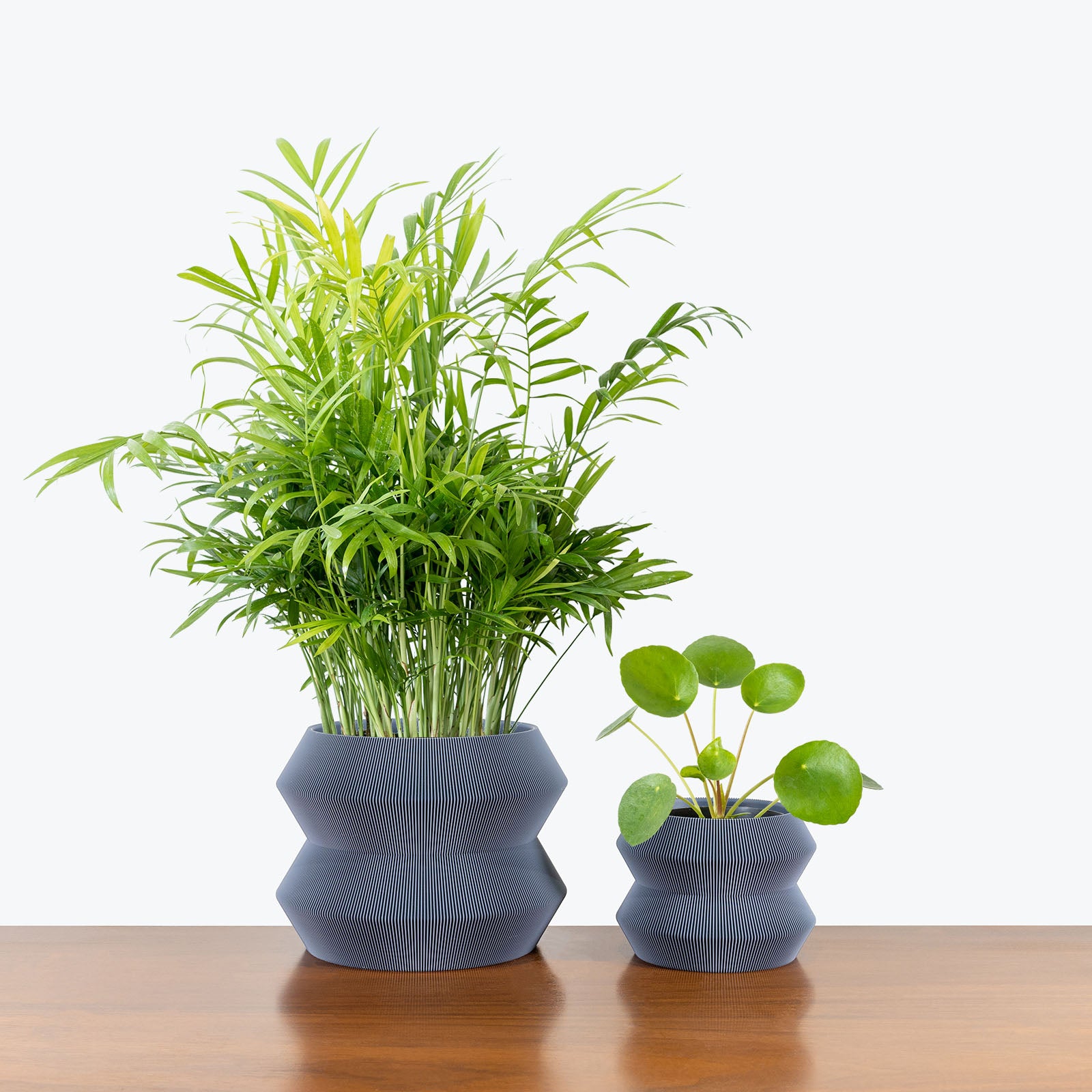 Pet Friendly Duo in 3D Printed Eco Friendly Geo Grey Planter - House Plants Delivery Toronto - JOMO Studio #planter_geo planter