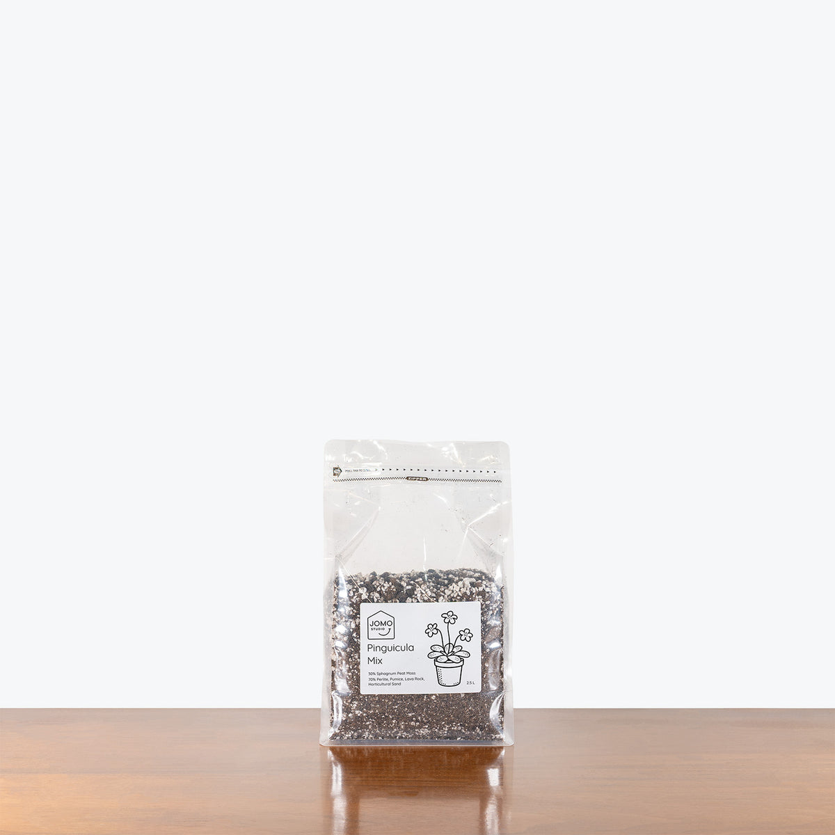 Pinguicula Mix | Pinguicula Butterwort Grow Medium - Delivery from Toronto across Canada - JOMO Studio