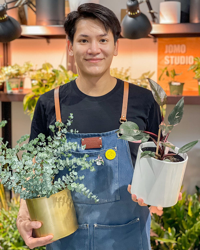 Our Team - DIY Workshops and House Plants Delivery Toronto - JOMO Studio