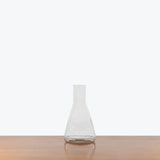 Prism Propagation Vase — One Size