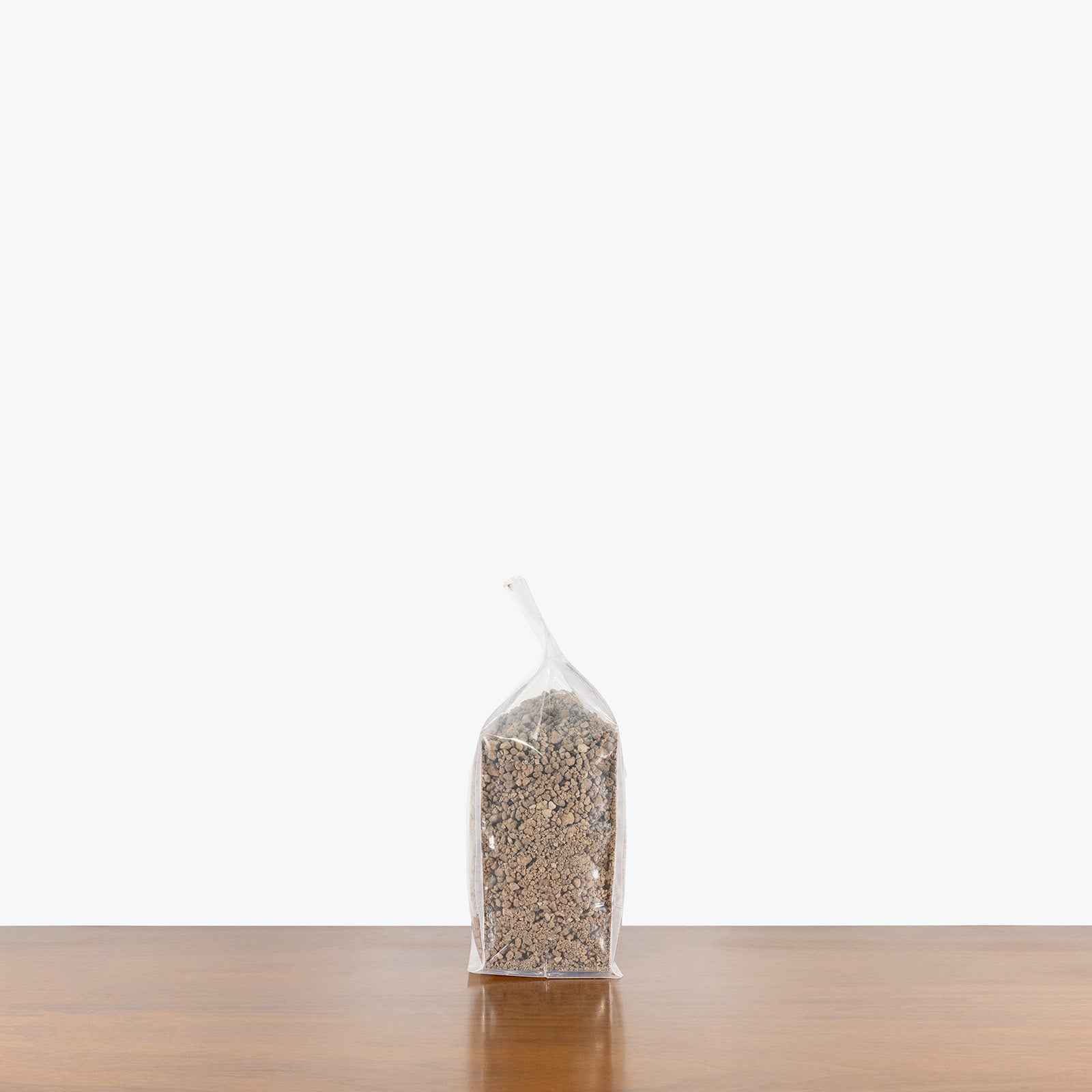 Pumice - House Plants Delivery Toronto - JOMO Studio