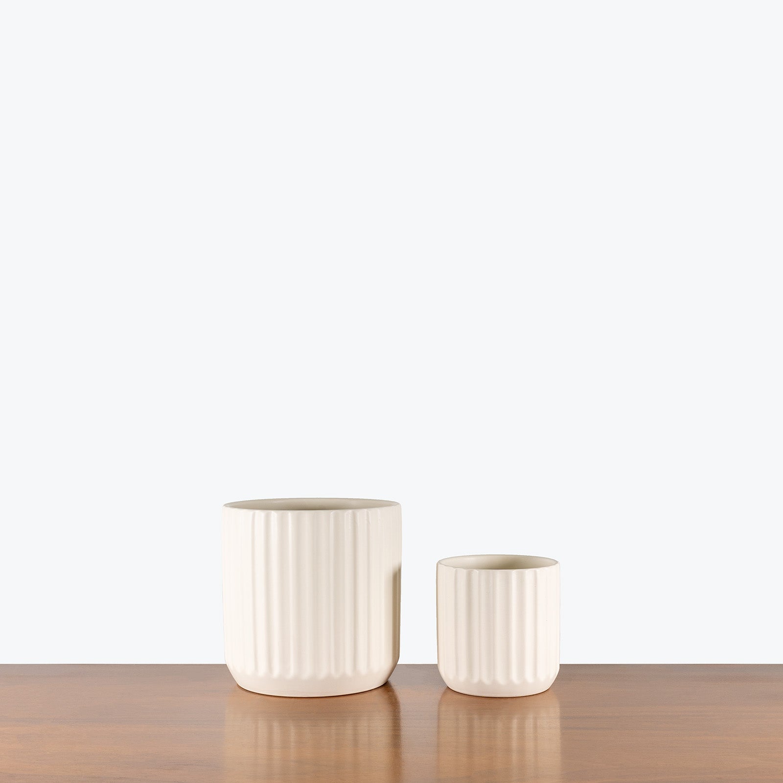 Ribbed Ceramic Planter - House Plants Delivery Toronto - JOMO Studio #color_matte white