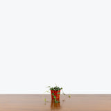 String of Spades — 2.5" Pot