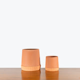 Terra Planter with Saucer - House Plants Delivery Toronto - JOMO Studio