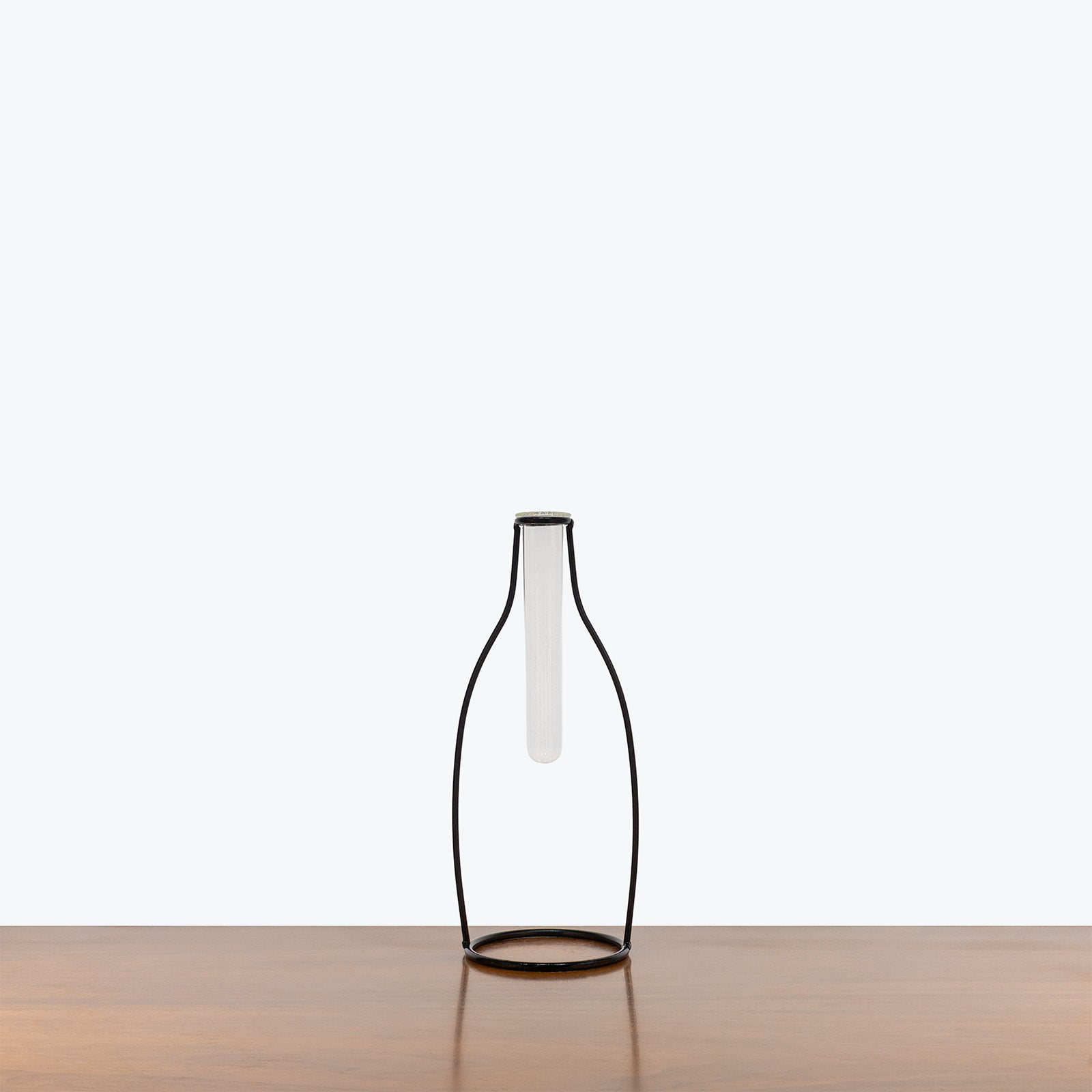 Vase Propagation Tube - House Plants Delivery Toronto - JOMO Studio