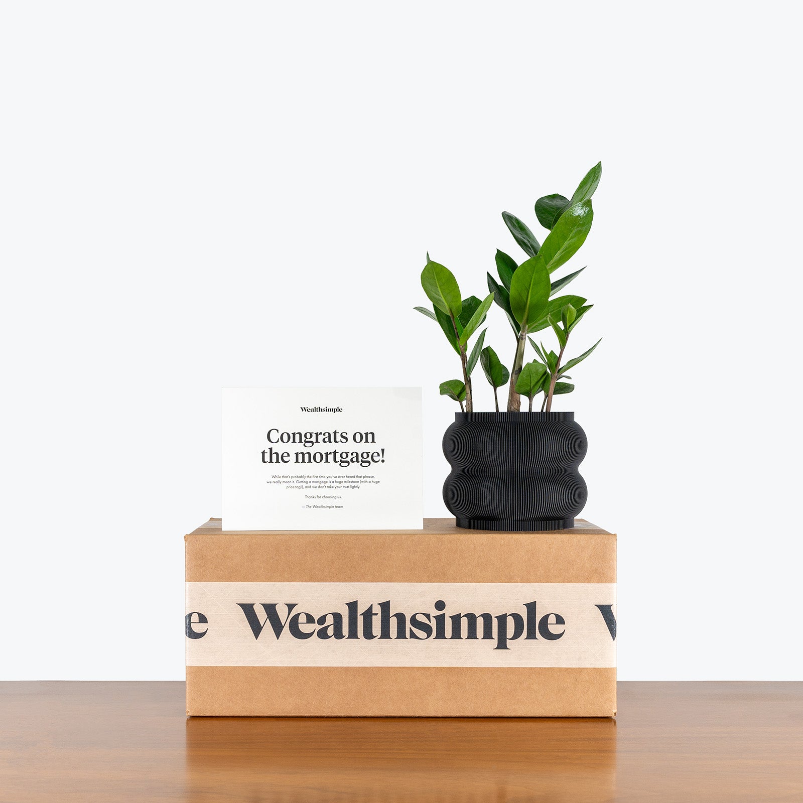 Corporate Gifts Toronto | Branded Gifts | 3D Printed Planter - JOMO Studio