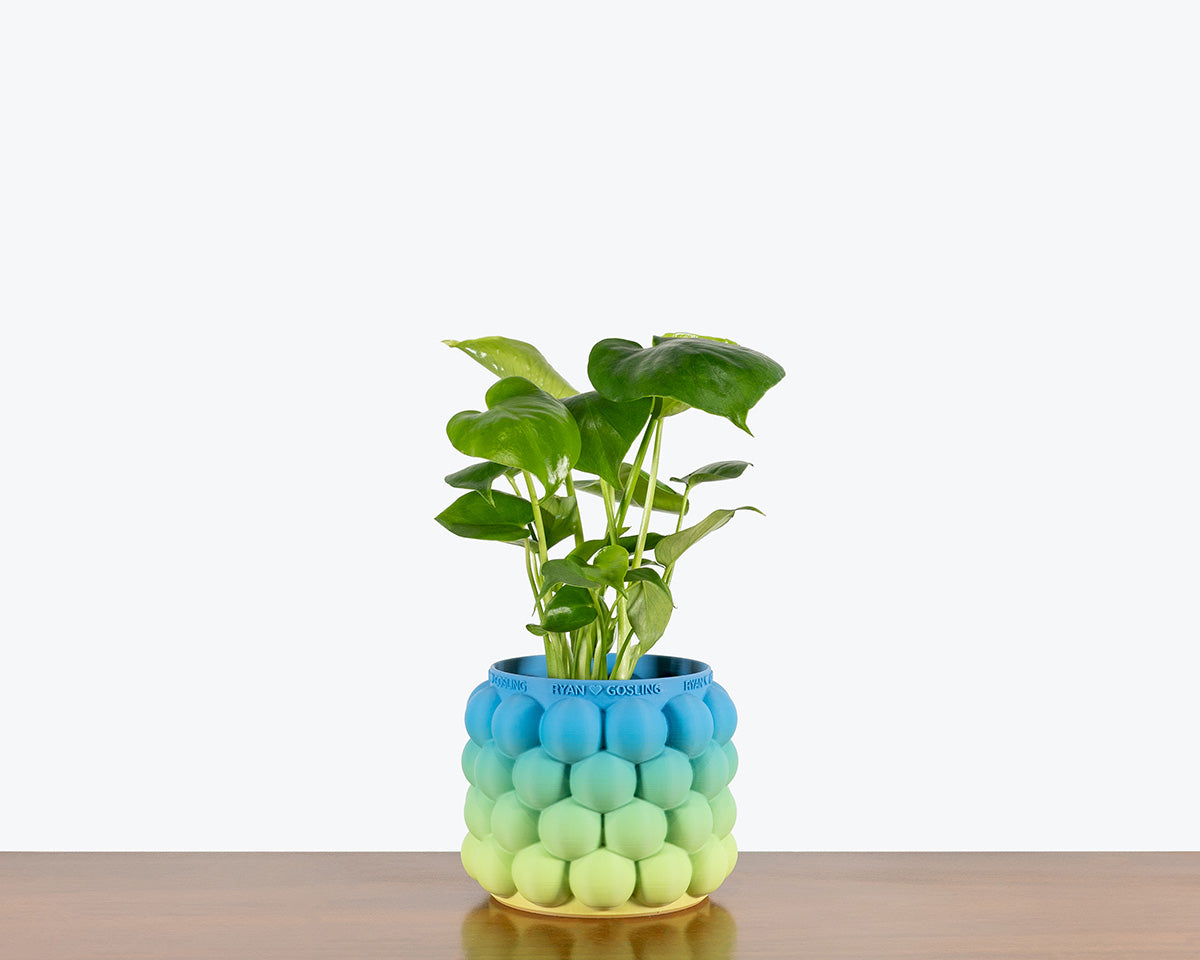 Wedding Favours | Custom Gifts Toronto | Custom Made Planter | 3D Printed Planter - JOMO Studio