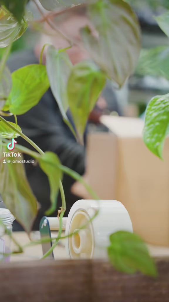BTS Packing Plants