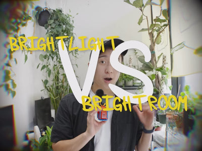 bright room doesn’t necessarily mean bright light. and this one thing explains a lot of struggling plants🌿

two plants in the same room can have completely different experiences depending on how close they are to the window (and to the sunlight). one is going to have enough energy to grow and thrive. the other might be quietly running low, growing slower, stretching toward light it can’t quite reach, producing smaller leaves.

this is important because light is how your plant makes energy. so less light me