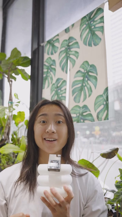 3 Monstera Hacks | JOMO Studio | Buy Plants Online | Tropical Houseplant Delivery & Plant Care