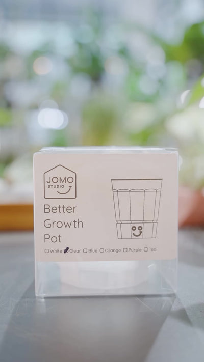 Better Growth Pot | JOMO Studio | Buy Plants Online | Houseplant Delivery & Plant Care