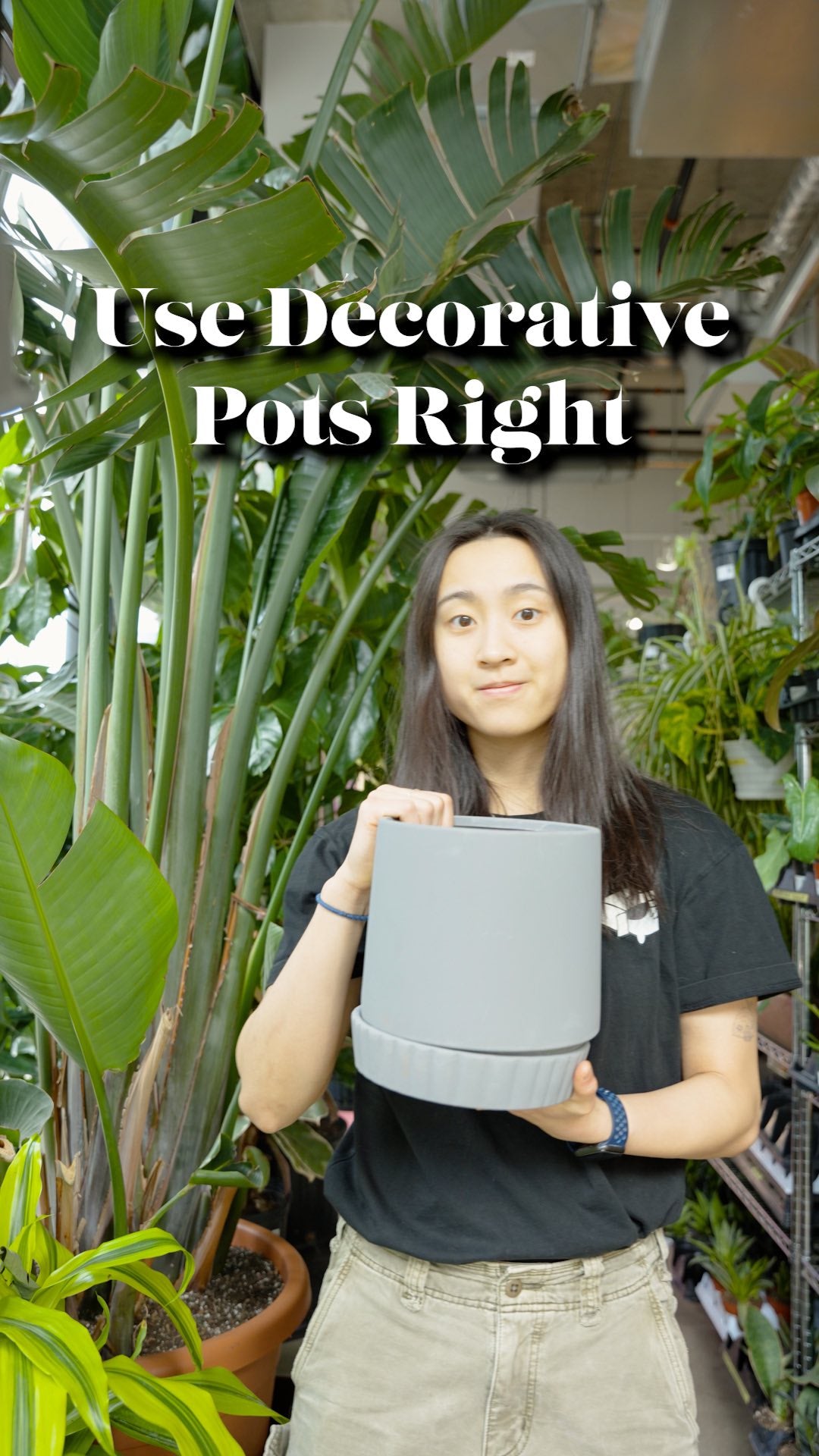 Use Decorative Pot Right | JOMO Studio | Buy Plants Online | Houseplant Delivery & Plant Care