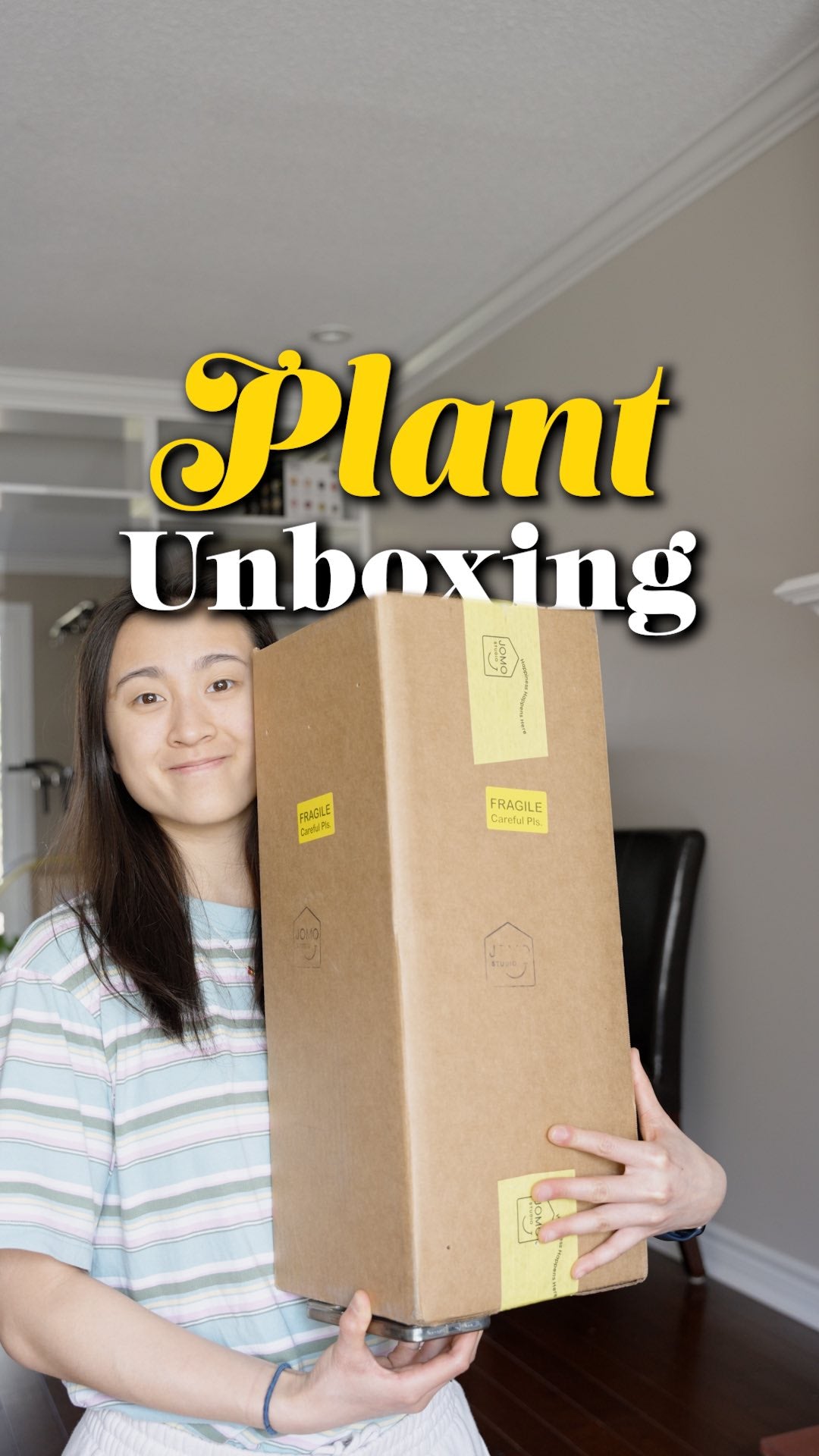 Anthurium Delivery | JOMO Studio | Buy Plants Online | Tropical Houseplant Delivery & Plant Care