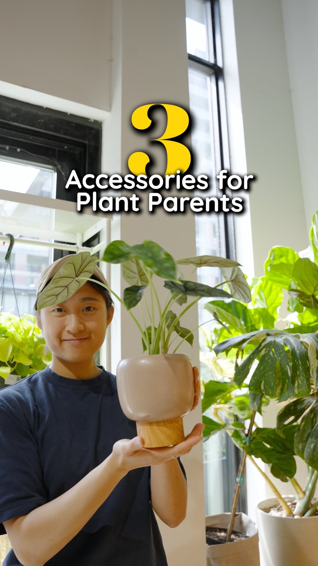 3 plant care accessories | JOMO Studio | Buy Plants Online | Tropical Houseplant Delivery & Plant Care