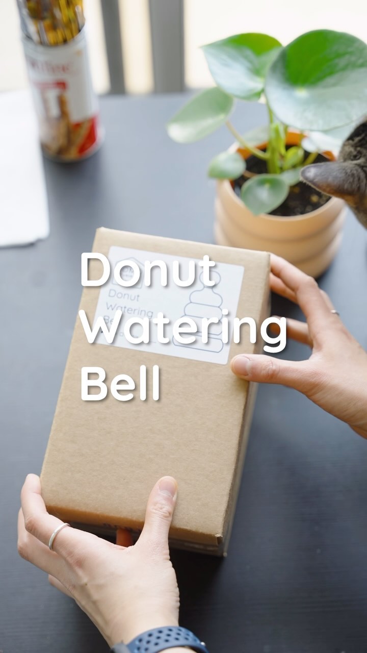 A fun and satisfying way to water your plants🤗🪴

Our 3D printed donut watering bell also comes with a free sample of organic liquid plant food✨ Add some drops into the water and you’re good to go! 💧

•
•
•
#plantwithjomo #houseplantsclub #plantsarefriends #plantparentcommunity #plantsandcats #unboxing #asmrunboxing #plantcollection #plantcareisselfcare