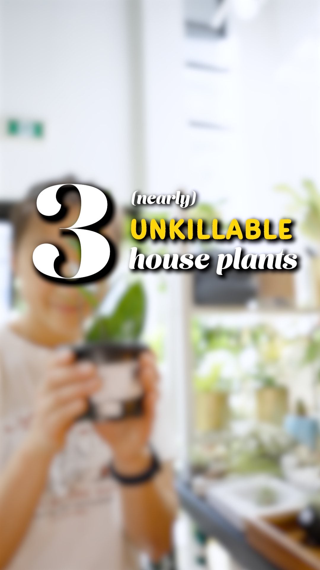 3 unkillable plants | JOMO Studio | Buy Plants Online | Houseplant Delivery & Plant Care