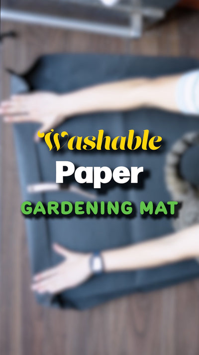 no more sketchy dollarama plastic trays for repotting!!! 🤩 here is JOMO’s washable paper gardening mat that can be reused over and over! ♻️

it’s also pet friendly as the cat clearly loves it 😍 very multi purposeful 

anyway, you should get one! or get one for your plant lover friend 🤗

•
•
•
#plantcare #houseplantcare #pottingplants #repotting #asmrunboxing #unboxingtime