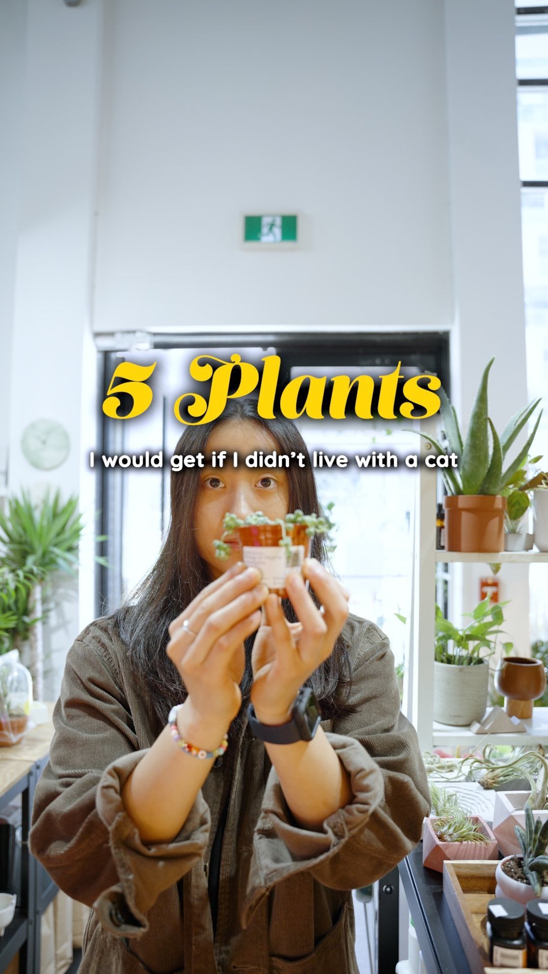 these plants are all a bit toxic to cats, so Sherry can’t keep them around in fear that the cat will try to eat them 😰

🐈🐕🐩but, if you don’t live with a furry friend (or you do but they don’t eat plants), here are some fun picks! 🪴🌱🌿

•
•
•
#houseplantshop #houseplantstoronto #plantstyling #indoorplantsdecor