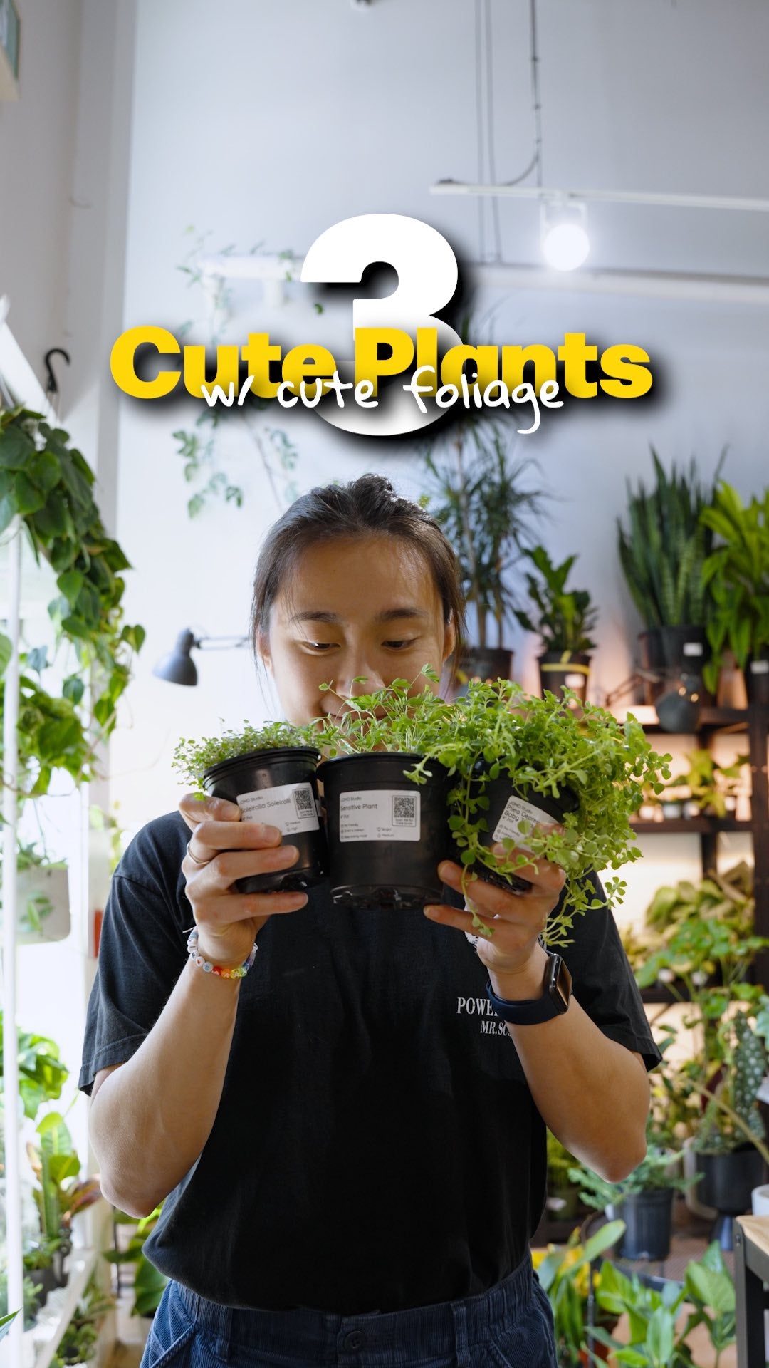 Cute plants with cure foliage | JOMO Studio | Buy Plants Online | Tropical Houseplant Delivery & Plant Care