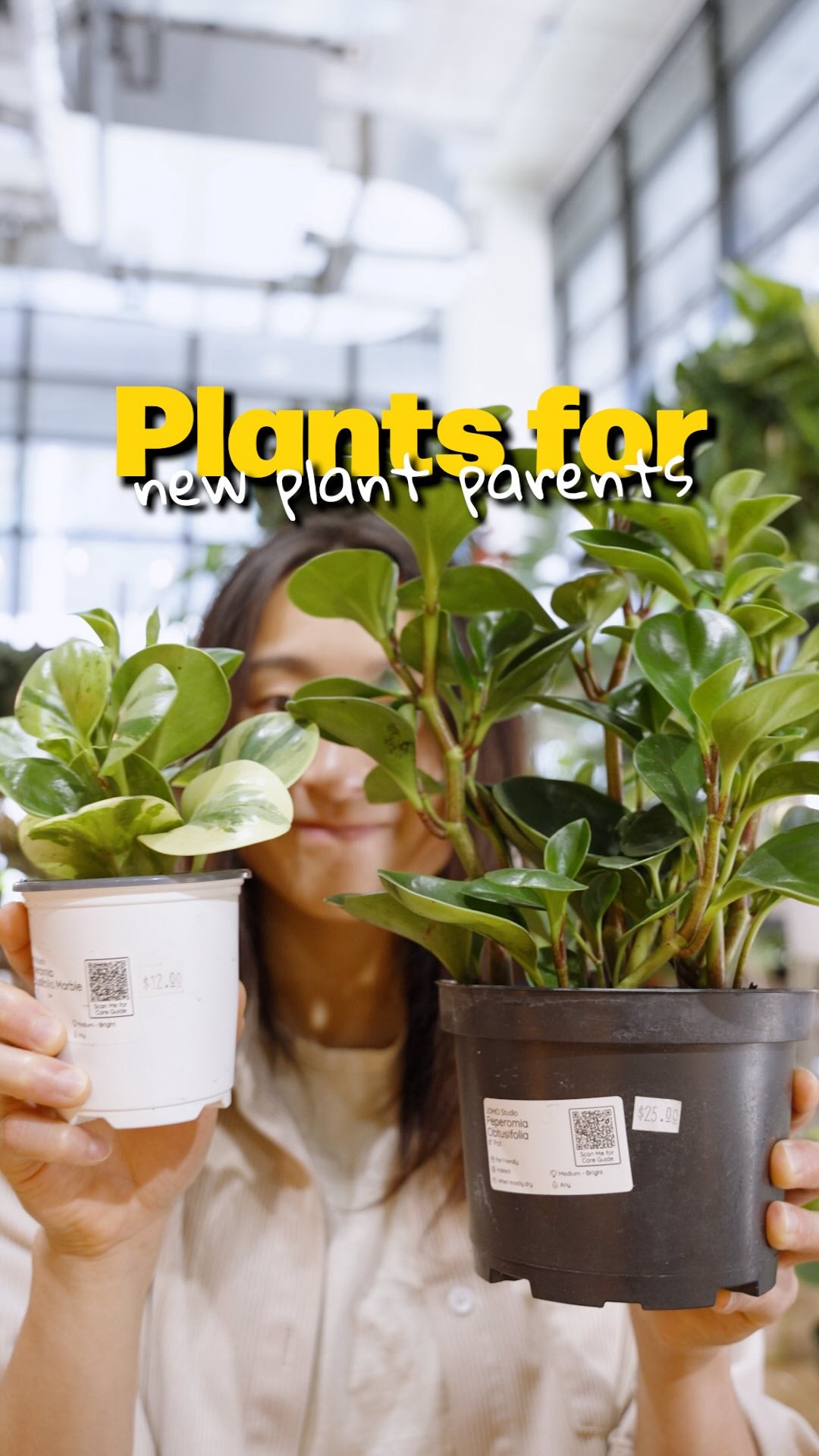 Plants for new plant parents | JOMO Studio | Buy Plants Online | Tropical Houseplant Delivery & Plant Care