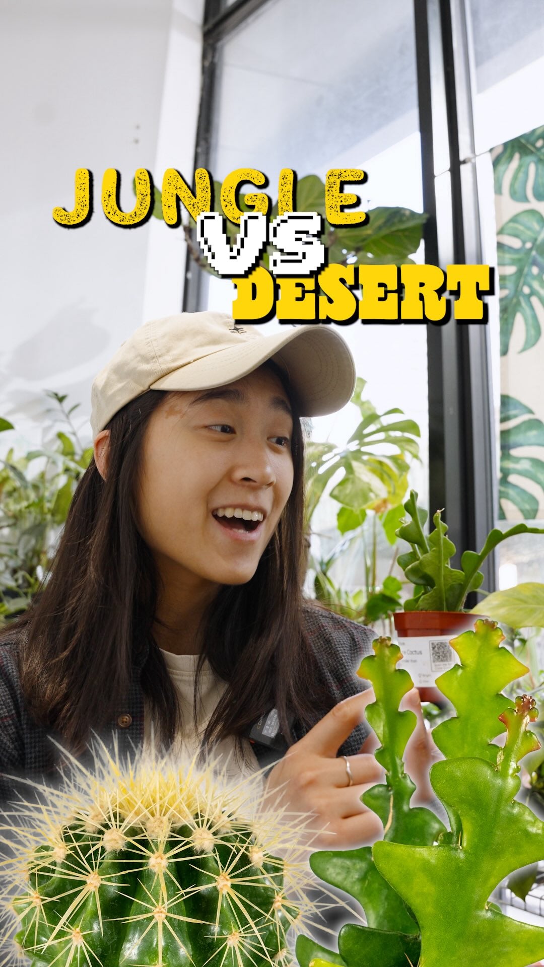Jungle vs Desert Cactus | JOMO Studio | Buy Plants Online | Tropical Houseplant Delivery & Plant Care