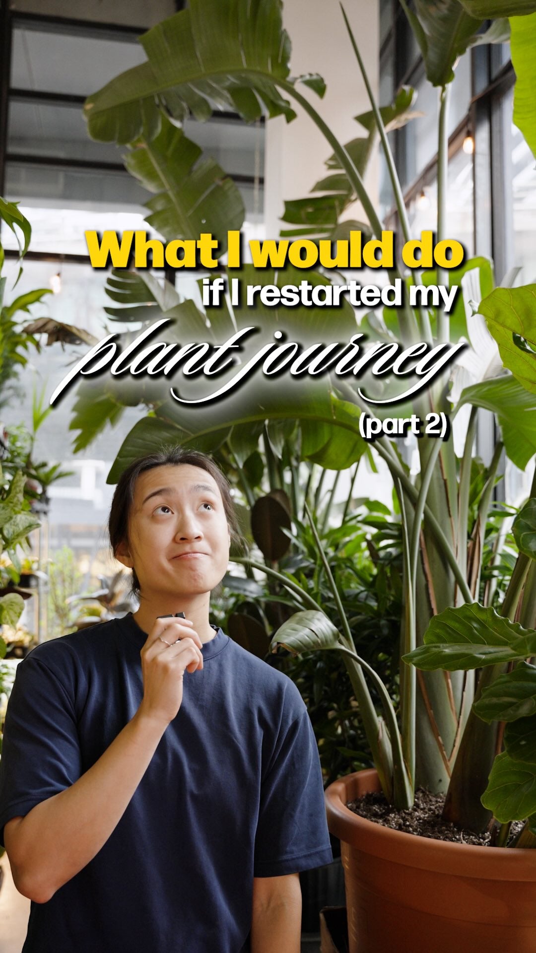 3 things i would do differently pt2 | JOMO Studio | Buy Plants Online | Tropical Houseplant Delivery & Plant Care
