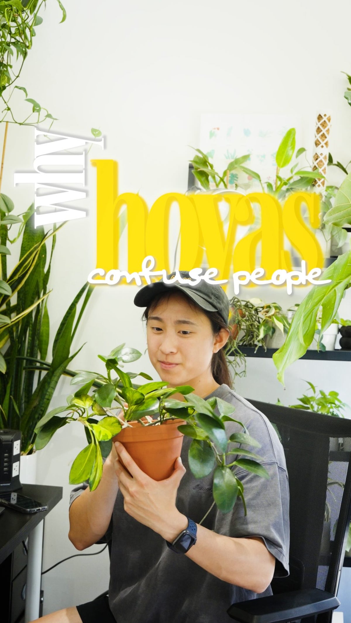 🌿Hoyas are beautiful plants with fairly simple care routines, but they can be confusing 

Most people water them like a tropical (too often) or dry them out like a cactus (not enough). Neither is right.

💡Here’s the thing: Hoyas are basically energy hoarders. Those thick waxy leaves store water similar to how succulent leaves do. So they want to dry out most of the way before the next watering.

But watering is only part of it. Hoyas also need:
☀️ A lot of light — more than most people give them (but not 