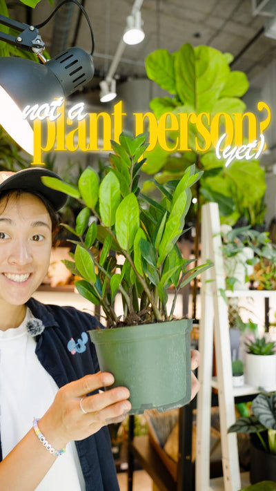 “I kill every plant I touch” is something we hear a lot. and we’re here to tell you, that’s not a you problem🌿

most of the time, people who “kill plants” either started with something too advanced, or got zero guidance and just had to guess. of course it didn’t work out.

the right plant, matched to your actual space and lifestyle, is actually kinda hard to kill.

no bright window? ZZ plant or snake plant.
forget to water? Pothos. it doesn’t care.
want something that looks cool and asks nothing of you? we
