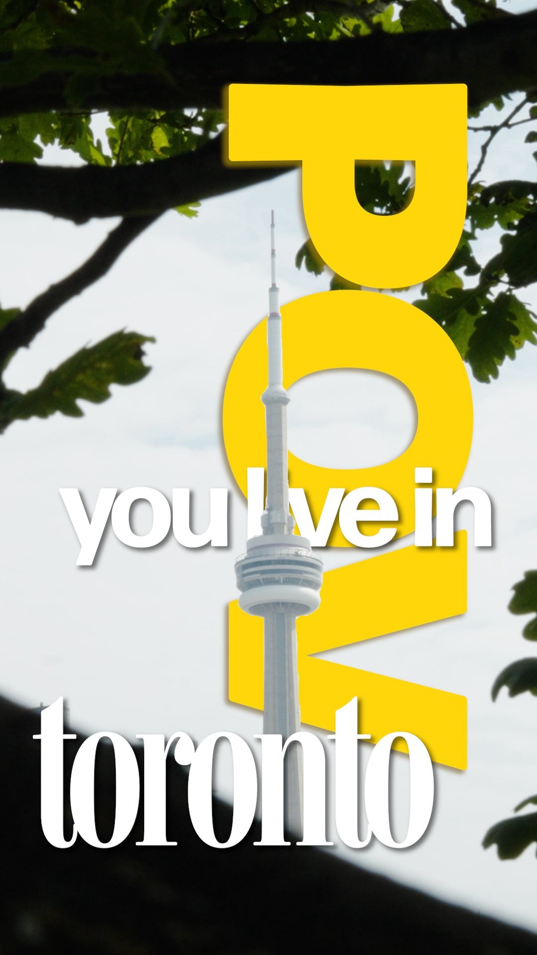 🌆more than half of toronto lives without a backyard.

just glass, concrete, and more glass. so maybe it’s not a coincidence that more of us are filling our windowsills with plants instead.

it’s not about trends. it’s about having one thing in your space that’s actually alive.

toronto doesn’t just need more plants. it needs a reason to slow down. and you know, houseplants are a great place to start🙂‍↕️

📍 JOMO Studio, Toronto