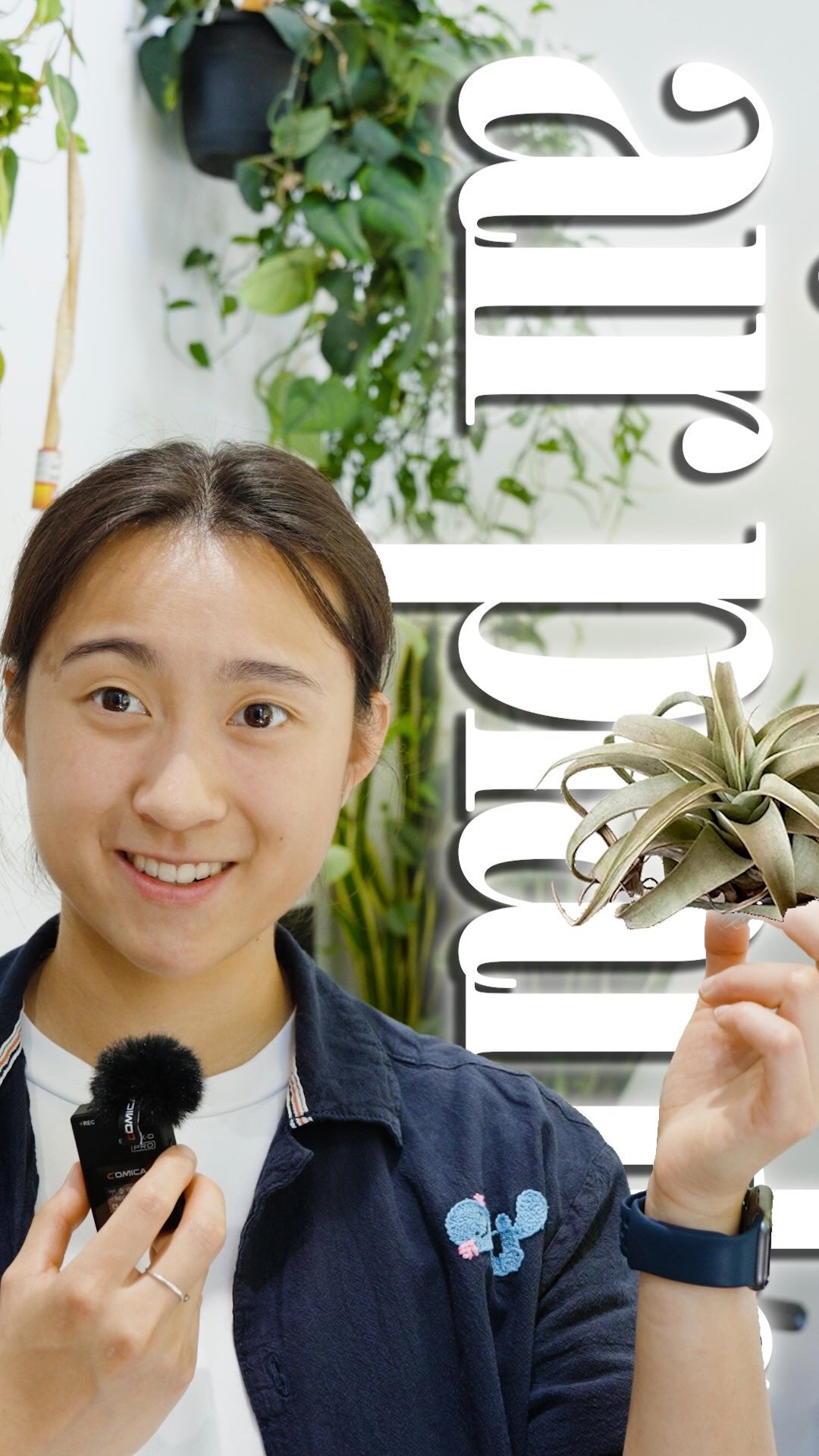 🪴meet the plant that skipped soil entirely.

air plants get everything they need, water, nutrients,  straight from the air through their leaves. no pot required.

which means you can stick one anywhere. shelf, driftwood, tiny glass orb, hanging by the window. just soak it every 1–2 weeks and it’s happy.

episode 4: air plants

📍 JOMO Studio, Toronto

#houseplants #tilandsia #airplant #plantdecor