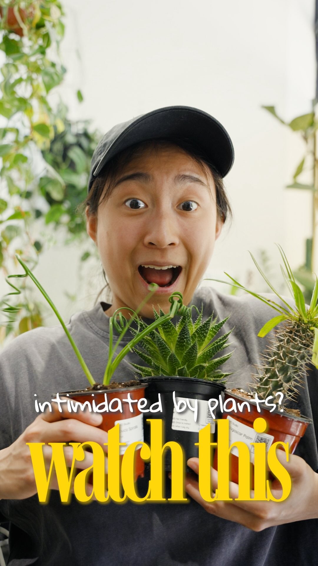 you don’t need to become a plant person. you just need one plant🌿

getting a plant can feel like a whole commitment. thinking you need to learn about soil types, watering schedules, lighting types, and fertilizer ratios before you’re allowed to have one. so you just… don’t get a plant at all.

but here’s the thing. some plants are so easy that the correct care is actually leaving them alone. just water it when the soil is dry, and put it somewhere with some sunlight. that’s it.

start with one! come find y