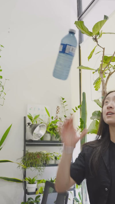 if you’re unsure whether to water your plant today and here’s why💧

underwatering and overwatering both stress your plant, but they’re not equal. underwatering causes wilting and crispy leaves — dramatic, stressful to look at, but usually reversible. give it a good drink and most plants bounce right back.

🌿 overwatering is a different story. roots that sit in wet soil can’t breathe. they suffocate. they rot. and the damage happens underground, slowly, invisibly. by the time your plant’s leaves are yellow