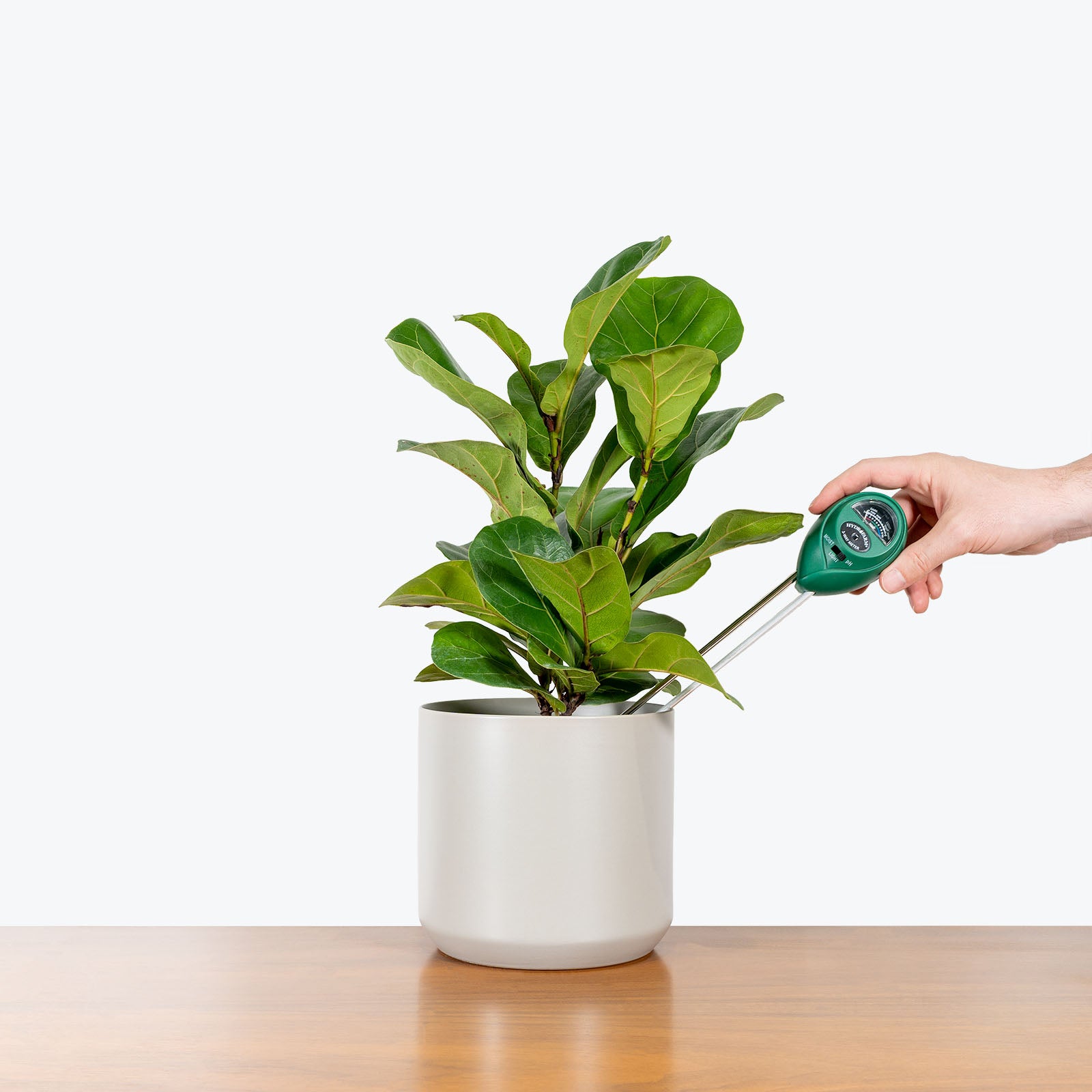 3-Way Moisture/Light/PH Meter - House Plants Delivery Toronto - JOMO Studio