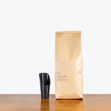 Aroid Mix - House Plants Delivery Toronto - JOMO Studio