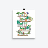 Art Print — Shelfie