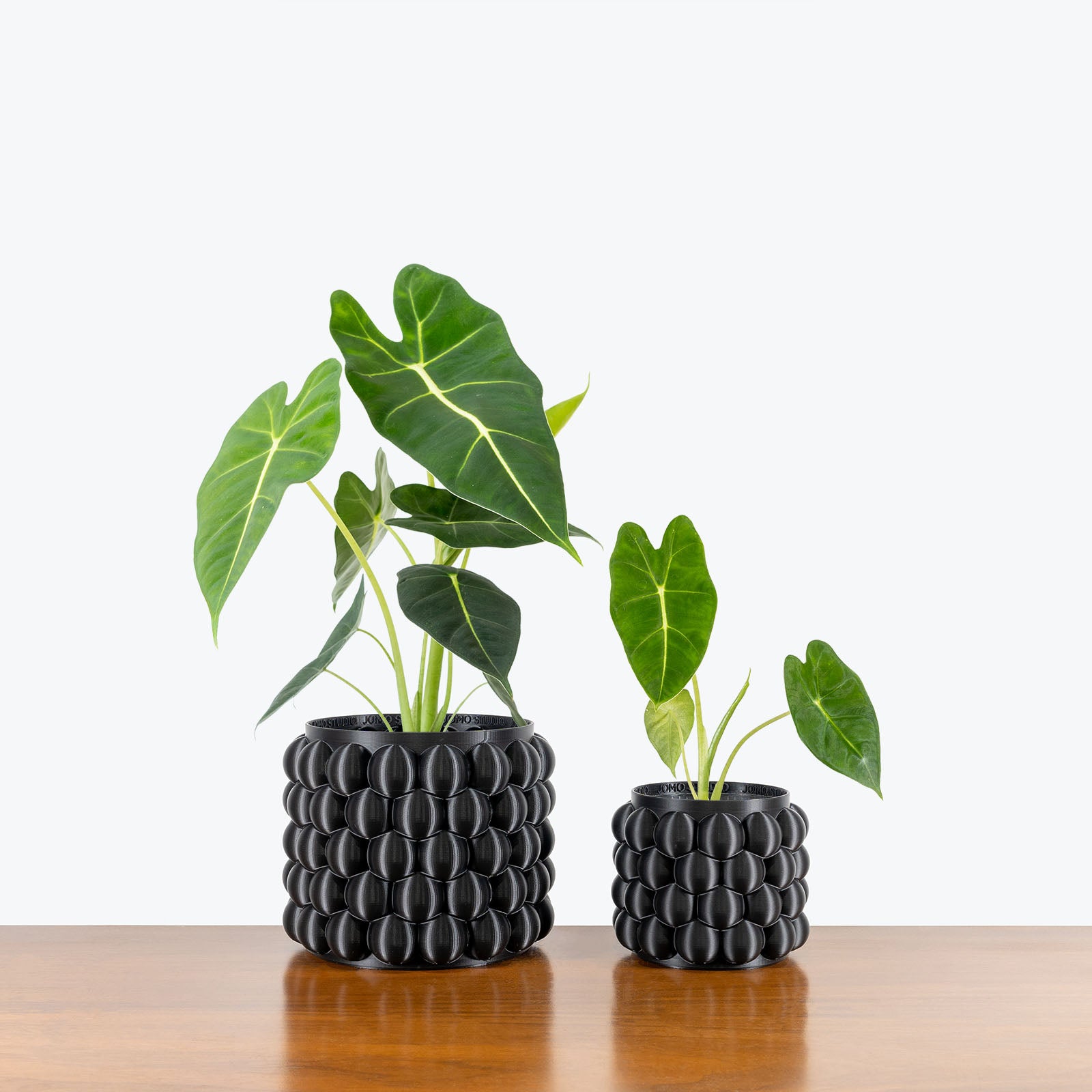 Bubble Planter - 3D Printed Planter - House Plants Delivery Toronto - JOMO Studio