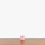 Canvas Ceramic Planter - House Plants Delivery Toronto - JOMO Studio